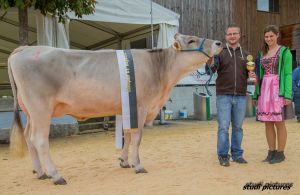 Champion BS Jongleur Janka -  WTS Genetics
